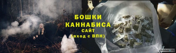 стаф Горняк