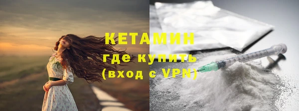 стаф Горняк