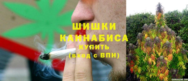 стаф Горняк