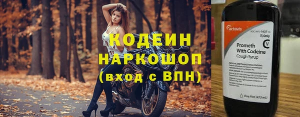 стаф Горняк