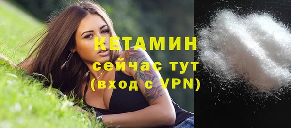 стаф Горняк