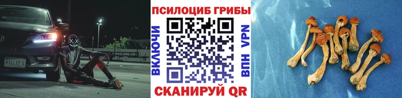 Галлюциногенные грибы мухоморы  Пионерский 